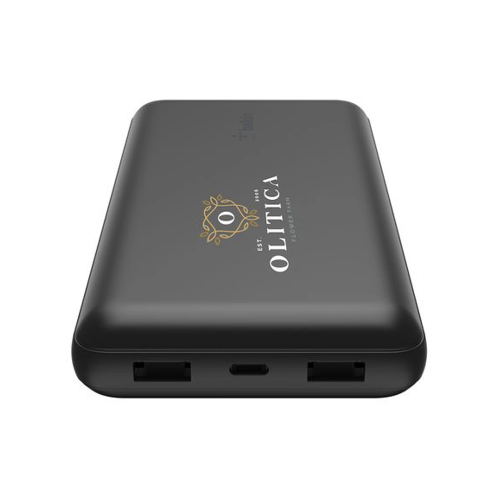 Belkin BoostCharge Powerbank 20K